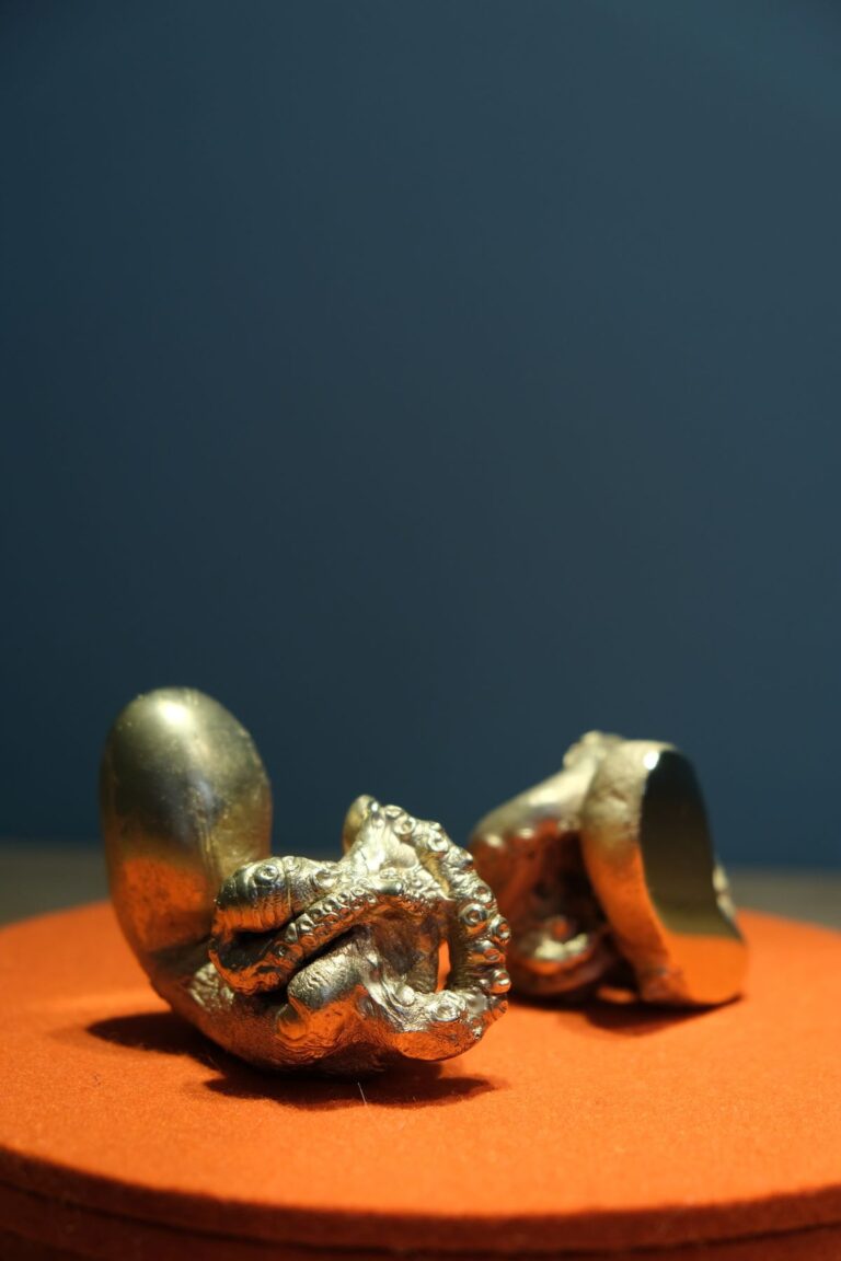 Vue d'expo miroir hectare galerie4