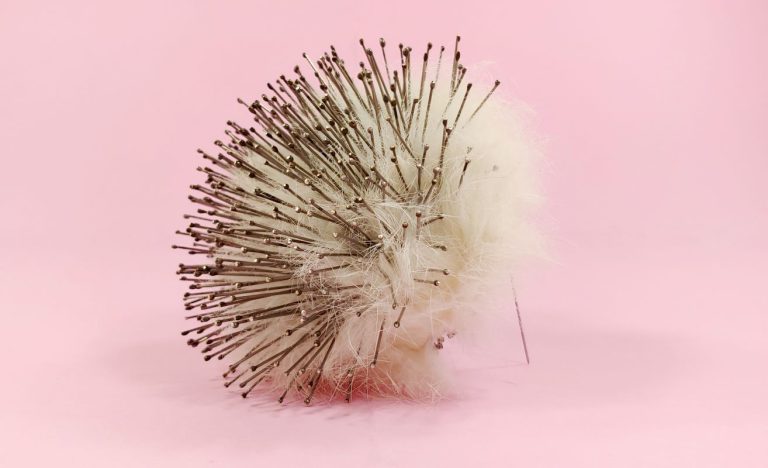 Truffle, Vivienne Varay, broche, épingles, fourrure, argent, fil web