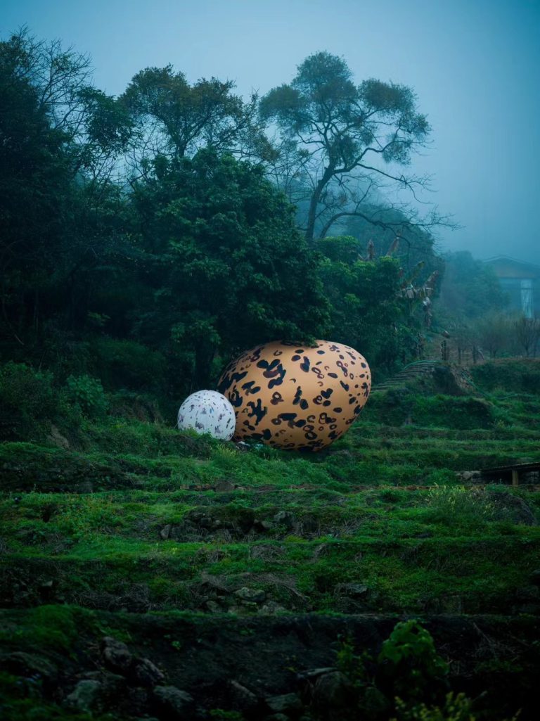 Installation Xiaochuan Zhang Eggsquisite