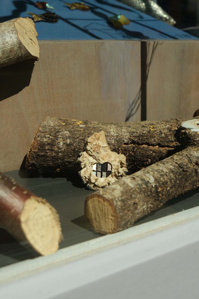 Benedickt Fischer broche pearly white vue de l'exposition