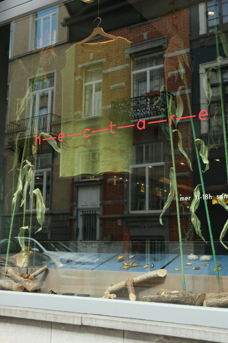 Vitrine exposition Bestiaire Star Hectare