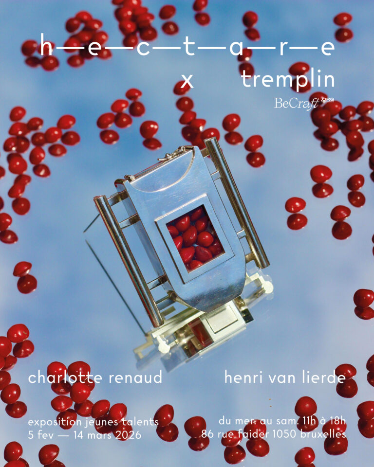 Affiche tremplin charlotte Renaud et Henri van lierde