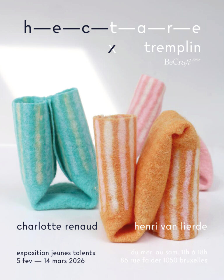 Affiche tremplin charlotte Renaud et Henri van lierde