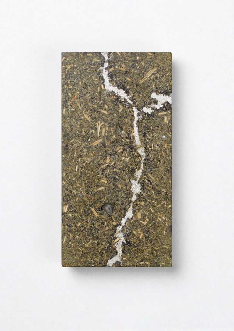 Broche Zhipeng Wang Tea Brick #23